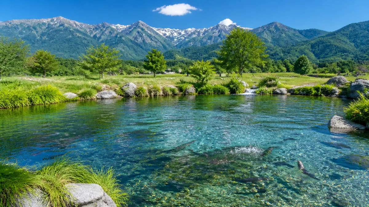 安曇野フィッシングセンターとは|北アルプスの湧水が生んだ透明度抜群の管理釣り場の解説画像