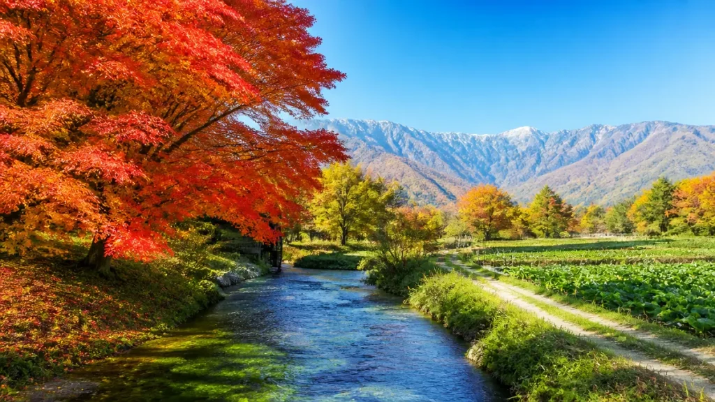 紅葉の安曇野を満喫｜見頃時期と地元通が選ぶ絶景スポット8選＆穴場ガイドのアイキャッチ画像