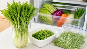 水菜の保存方法、長持ちの正解は立てて冷蔵だった？冷凍なら1ヶ月キープのコツのアイキャッチ画像