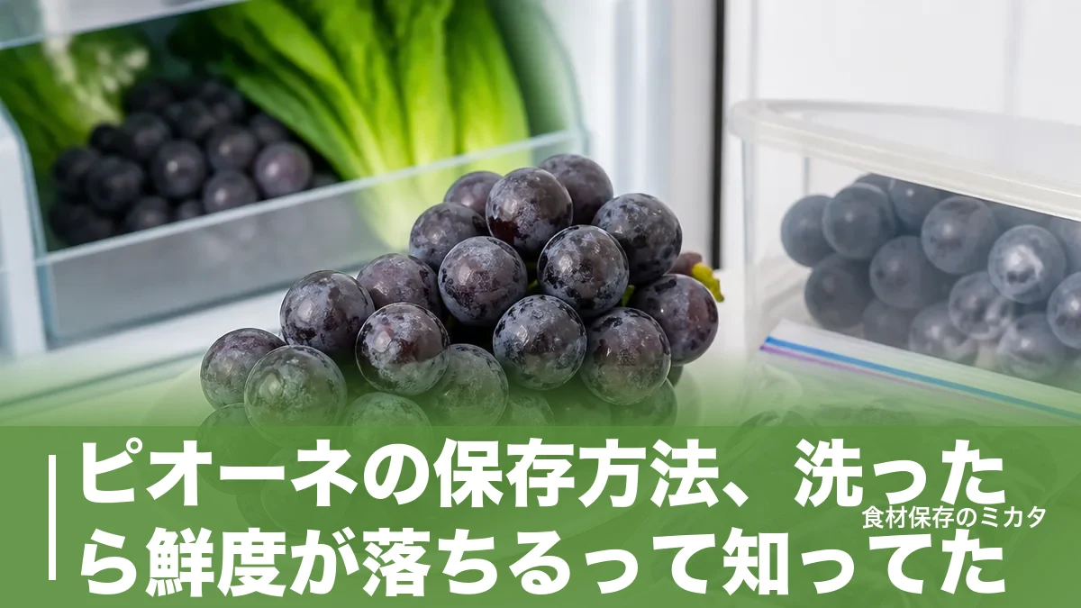 ピオーネの保存方法、洗ったら鮮度が落ちるって知ってた？冷蔵1週間・冷凍1ヶ月のコツのアイキャッチ画像