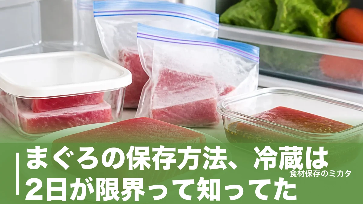 まぐろの保存方法、冷蔵は2日が限界って知ってた？冷凍1週間・漬けで2週間長持ちのコツのアイキャッチ画像