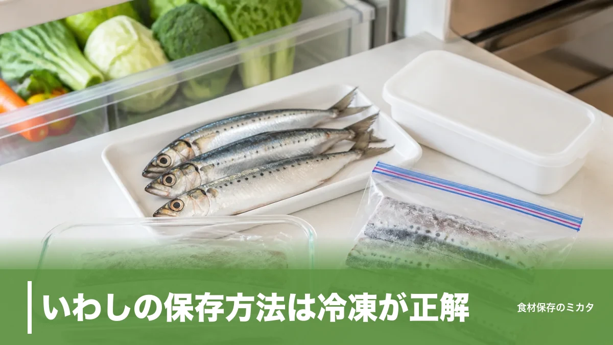 いわしの保存方法は冷凍が正解?冷蔵2〜3日を1ヶ月おいしくキープするコツのアイキャッチ画像