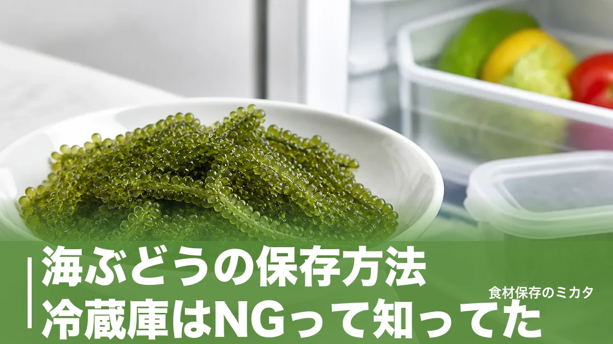 海ぶどうの保存方法、冷蔵庫はNGって知ってた?常温で1週間プチプチをキープするコツのアイキャッチ画像