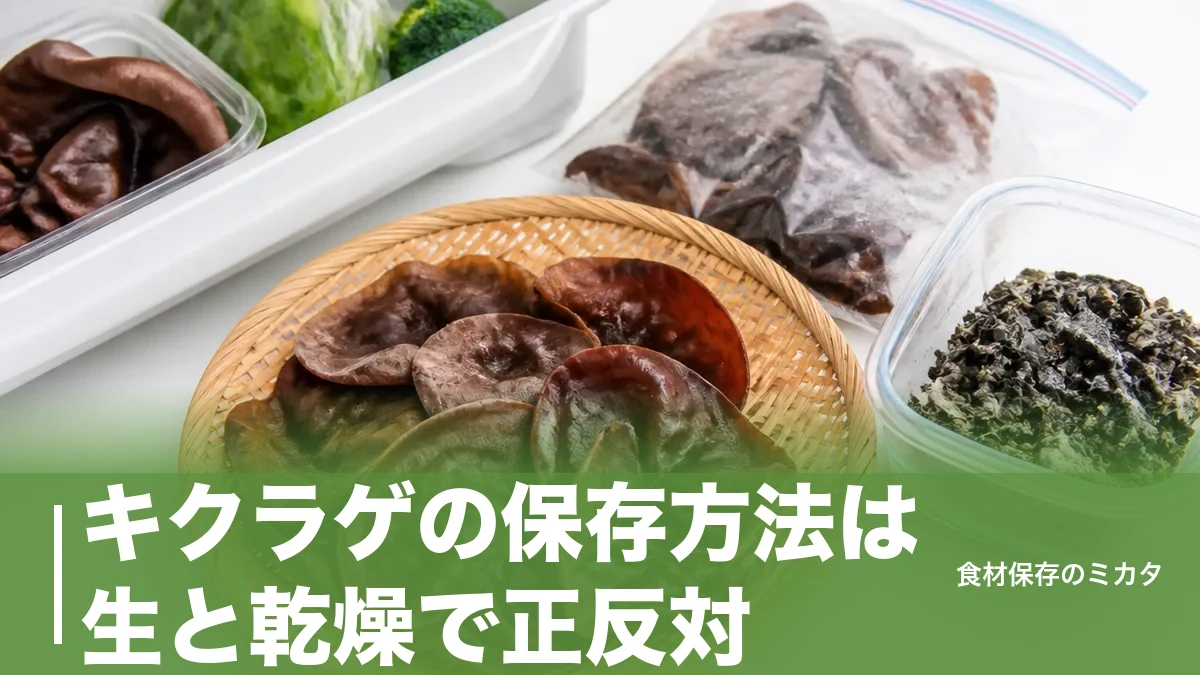 キクラゲの保存方法は生と乾燥で正反対？冷蔵3〜5日・乾燥1〜2年もたせるコツのアイキャッチ画像
