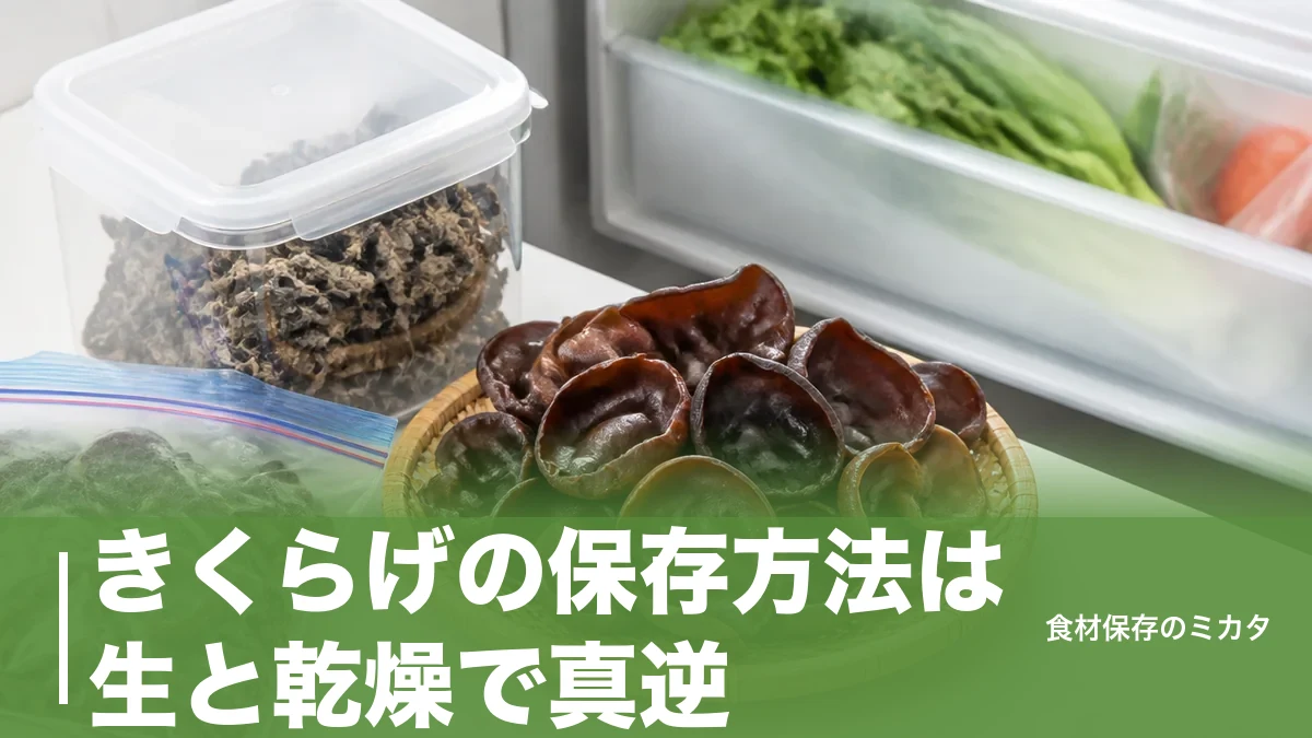 きくらげの保存方法は生と乾燥で真逆？冷蔵1週間・乾燥1年をムダなく使い切るコツのアイキャッチ画像