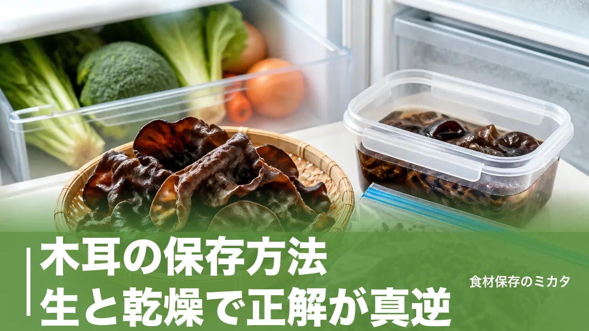 木耳の保存方法、生と乾燥で正解が真逆？冷蔵1週間・戻したら2〜3日のコツのアイキャッチ画像