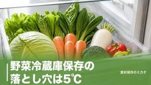 野菜冷蔵庫保存の落とし穴は5℃？低温障害を防いで2〜3週間長持ちさせるコツのアイキャッチ画像