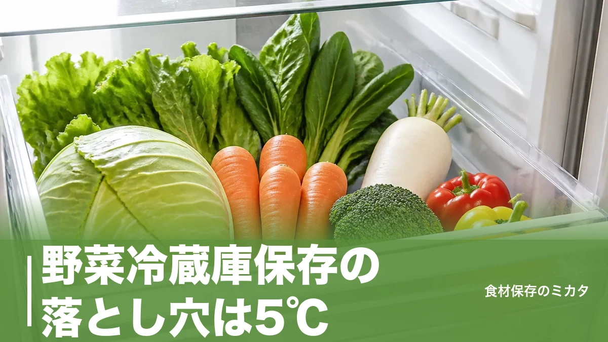 野菜冷蔵庫保存の落とし穴は5℃？低温障害を防いで2〜3週間長持ちさせるコツのアイキャッチ画像